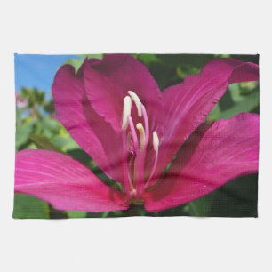 Orchid Tree Blossom Tropical Floral Küchentuch