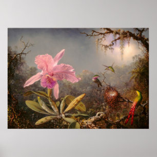 ORCHID UND DREI HUMMINGBIRDS POSTER