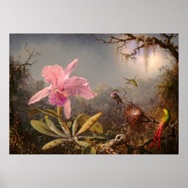 ORCHID UND DREI HUMMINGBIRDS POSTER (Vorne)