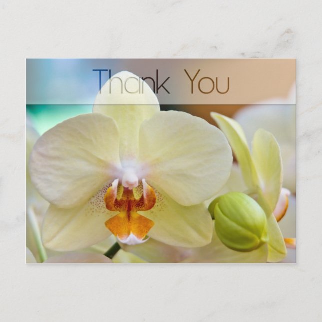 Orchid ・ Vielen Dank Postcard Postkarte (Vorderseite)