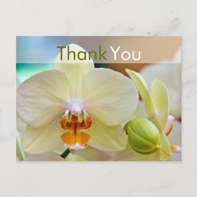 Orchid ・ Vielen Dank Postcard Postkarte (Vorderseite)
