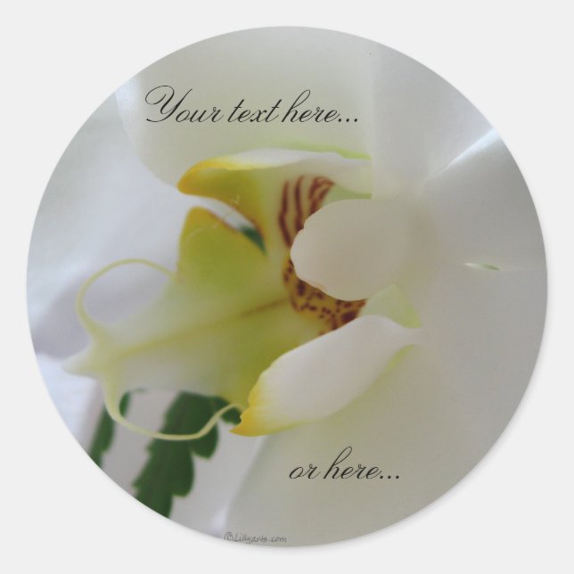 Orchid White Blume Stickers / Wedding Stickers (Vorderseite)
