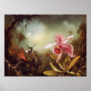 Orchid with Two Hummingbirds Poster