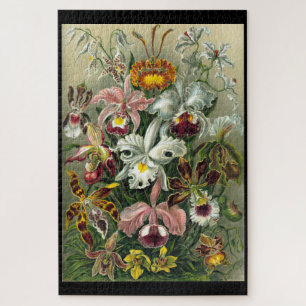 "Orchidae" von Ernst Haeckel Jigsaw Puzzle