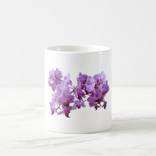 orchidea domestica kaffeetasse