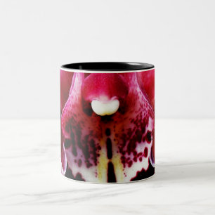 Orchidee 19 zweifarbige tasse