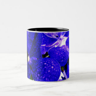 Orchidee 31 zweifarbige tasse