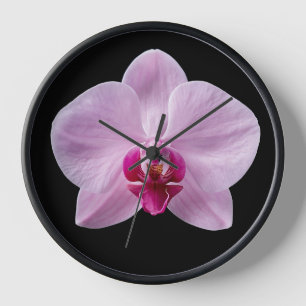Orchidee auf schwarzem Hintergrund Uhr