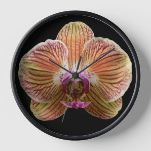 Orchidee auf schwarzem Hintergrund Uhr