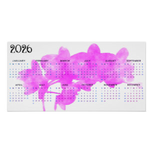 Orchidee auf weißem Hintergrund 2026 Kalender  Poster