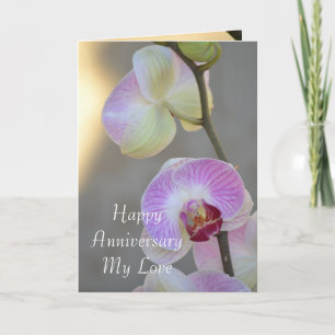 Orchidee Ausdruck Jahreskarte Rosa Karte