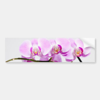 Orchidee Autoaufkleber