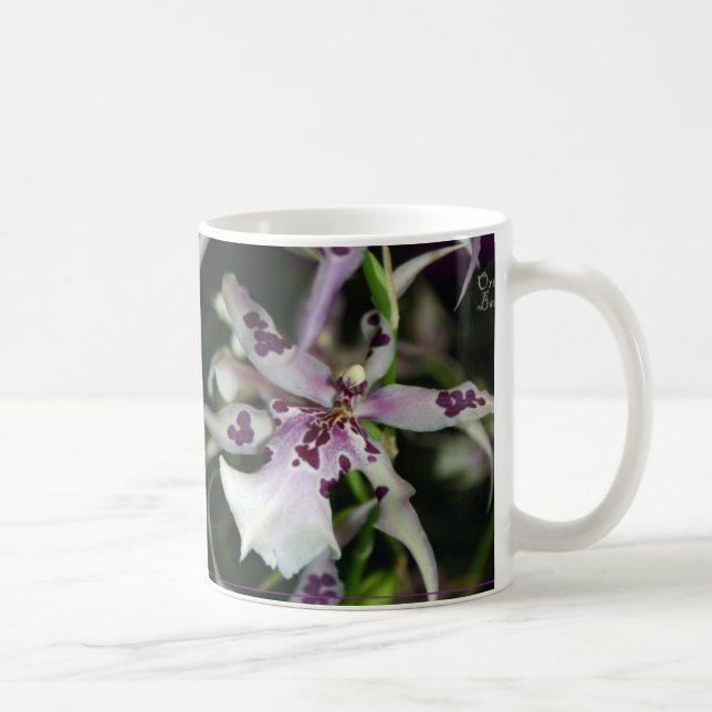 Orchidee Beallara Tasse (Rechts)