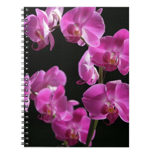 Orchidee blüht Notizbuch Notizblock (Vorderseite)
