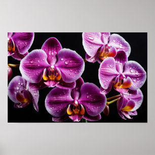 Orchidee Blume Farbenfrohe Blossom Dekoration Blos