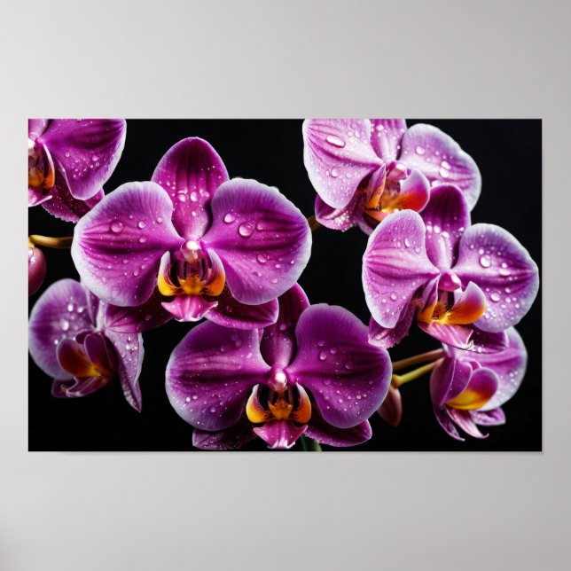 Orchidee Blume Farbenfrohe Blossom Dekoration Blos (Vorne)