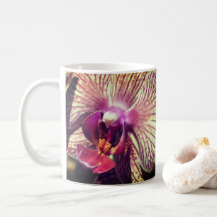 Orchidee Blume Nah Kaffeetasse