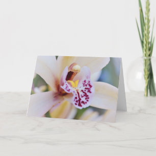 Orchidee Blume Nahe up Art Note Card Karte
