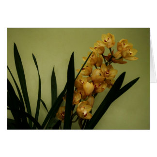 "Orchidee" durch Larry Coressel
