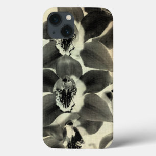 Orchidee erröten Platten IV iPhone 13 Hülle