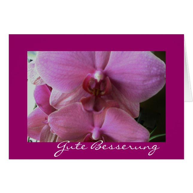 Orchidee-gute besserung (Vorderseite (Horizontal))
