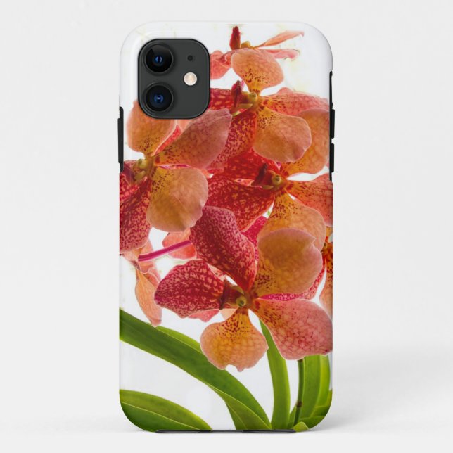 Orchidee iPhone Fall Case-Mate iPhone Hülle (Rückseite)