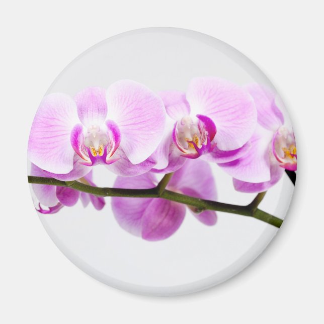 Orchidee Magnet (Vorne)