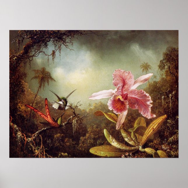 Orchidee mit zwei Hummingbirds Poster (Vorne)