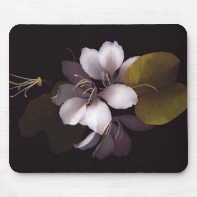 Orchidee Mousepad (Vorne)