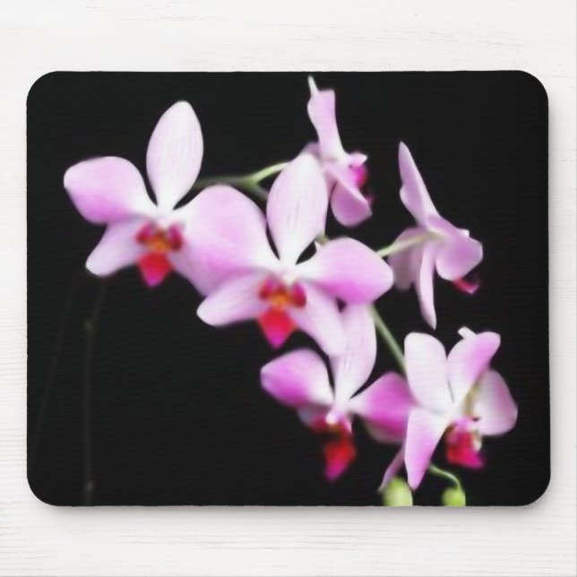 Orchidee Mousepad (Vorne)