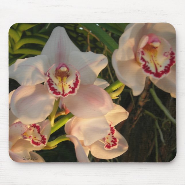 Orchidee Mousepad (Vorne)
