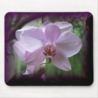 Orchidee Mousepad