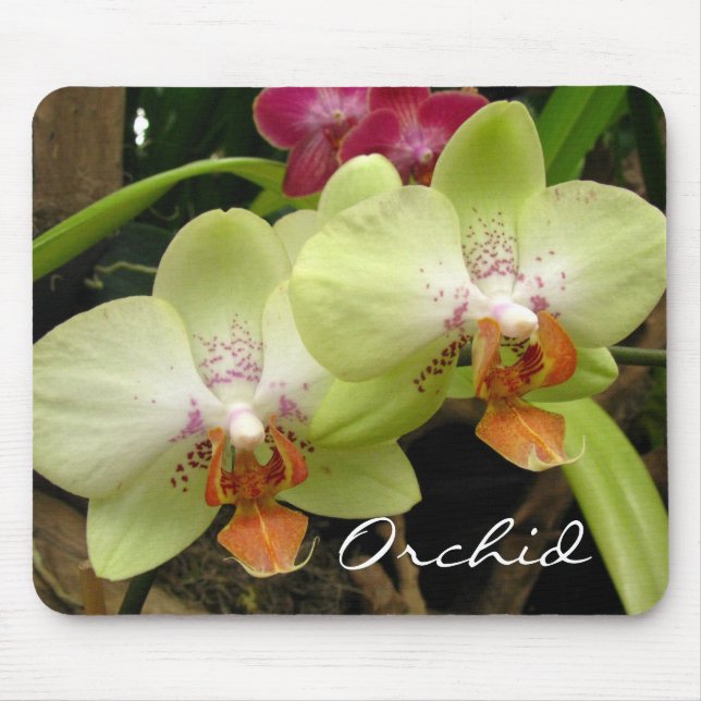 Orchidee Mousepad (Vorne)
