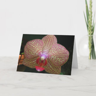 Orchidee Notecard Karte