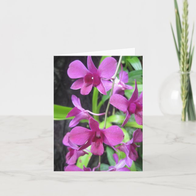 Orchidee notecard karte (Vorderseite)
