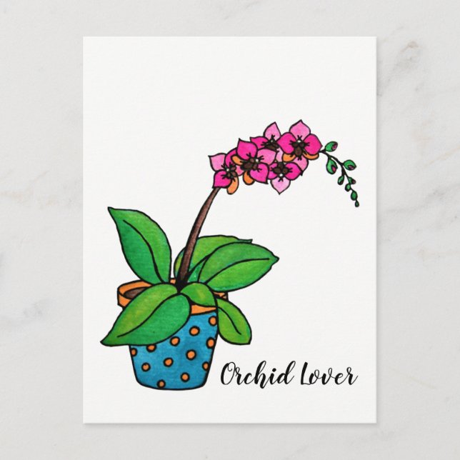 Orchidee Pflanze im Wasserbecken Postkarte (Vorderseite)