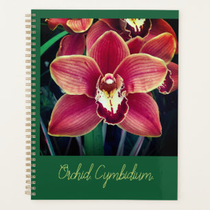 Orchidee. Planer