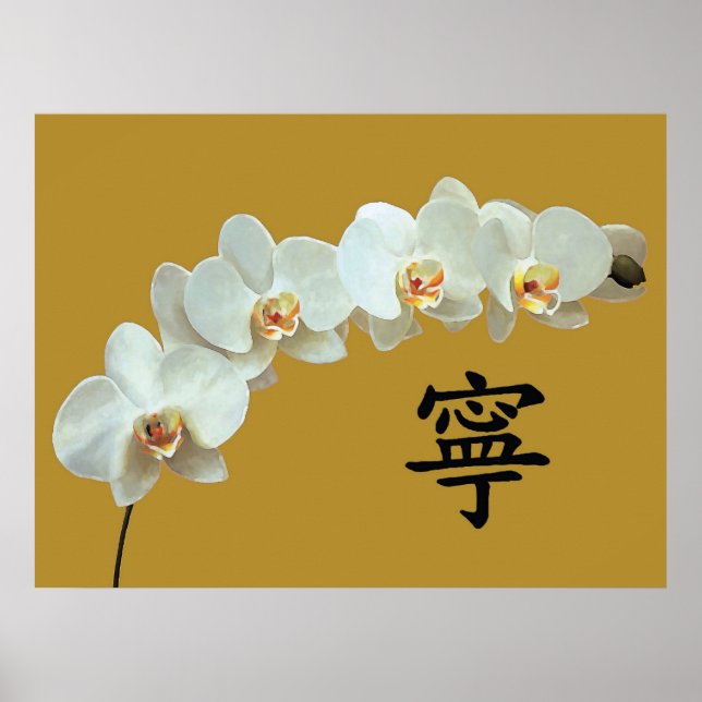 Orchidee Poster (Vorne)