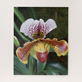Orchidee Puzzle