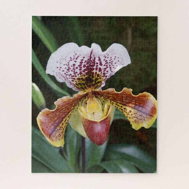 Orchidee Puzzle (Vertikal)