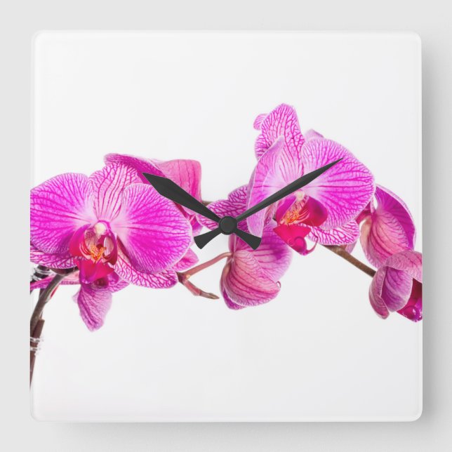 Orchidee Quadratische Wanduhr (Vorderseite)