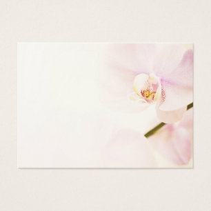 Orchidee - rosa hohe SchlüsselBlume -