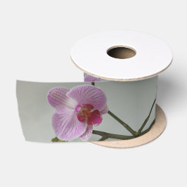 Orchidee Satinband