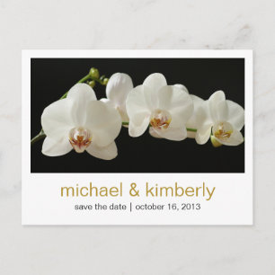 Orchidee SAVE THE DATE Ankündigungspostkarte