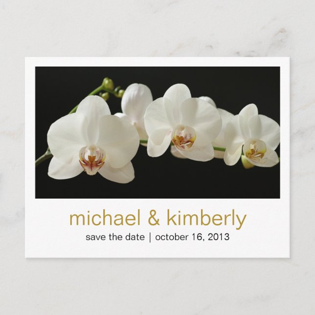 Orchidee | SAVE THE DATE Ankündigungspostkarte (Vorderseite)