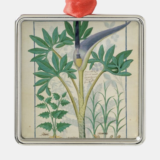 Orchidee Silbernes Ornament (Vorne)