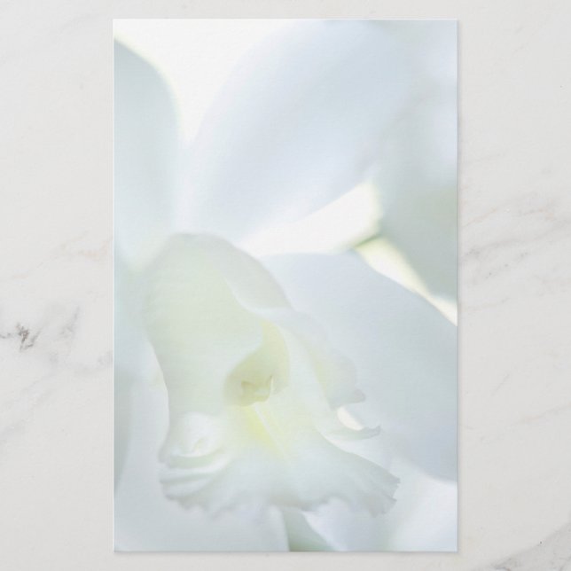 Orchidee stationär briefpapier (Vorderseite)