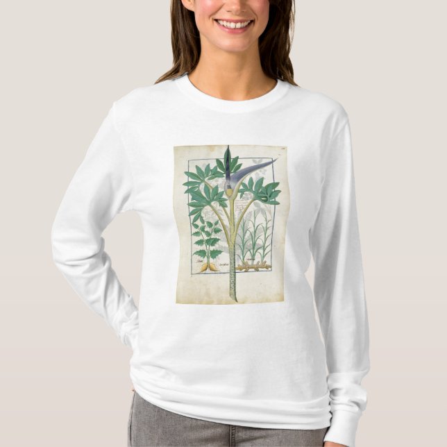 Orchidee T-Shirt (Vorderseite)