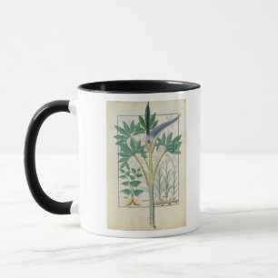Orchidee Tasse