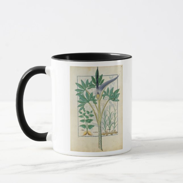 Orchidee Tasse (Links)
